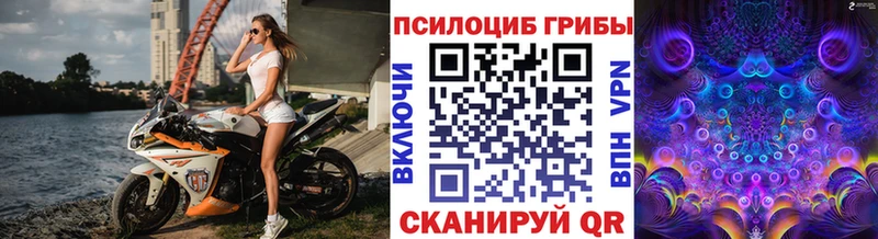 Галлюциногенные грибы мухоморы Хасавюрт